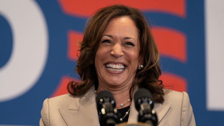 Heres where Kamala Harris could stand on tax policy experts