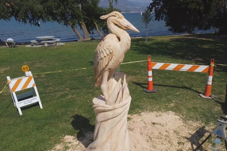 Chainsaw carver transforming Kelowna tree trunk into art Okanagan