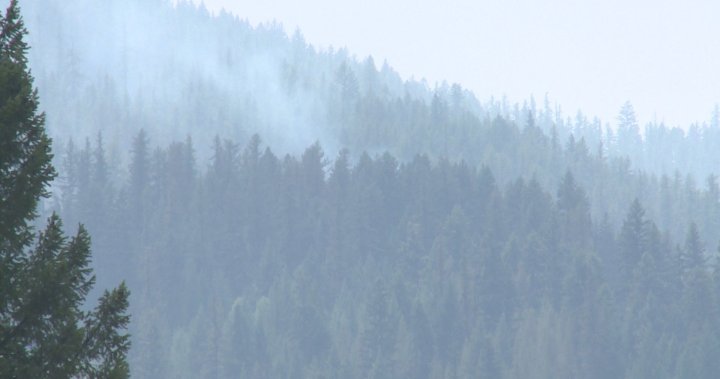 Okanagan wildfire update August 4 Okanagan