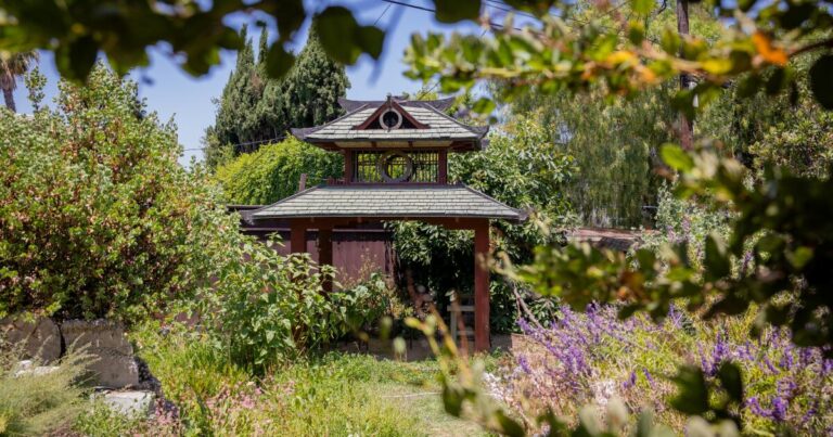 Gorgeous DIY habitat garden boasts native plants water features.com2F4b2Fd82F2d65b7dd46d692f04855f24d