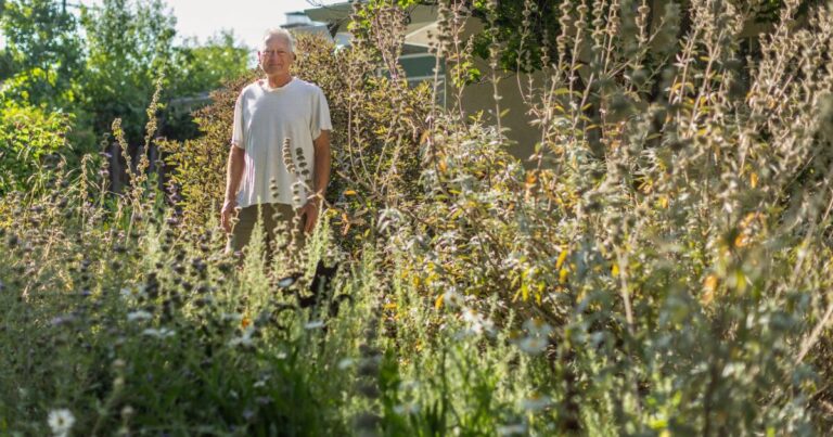 He replaced his lawn with drought tolerant plants to withstand heat.com2F8a2F652F3a36114b47c3ba3f51524fcb