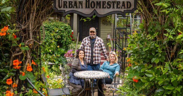 Urban homesteading tips from a 40 year old urban homestead.com2Ff32F662Fb38d58904b11ac47e7ff7a5d