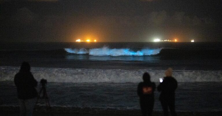 Bioluminescence electrifying waves across Southern California.com2F8e2F9b2Fd28bbc5e4e5c87efe85d529f