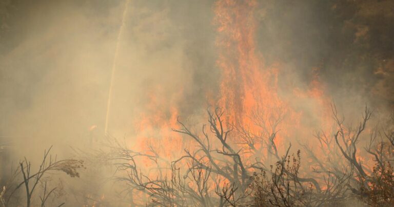 California wildfires are spreading faster endangering more people.com2F602Ffd2Fa7e4468e4c079d18405bb8fd