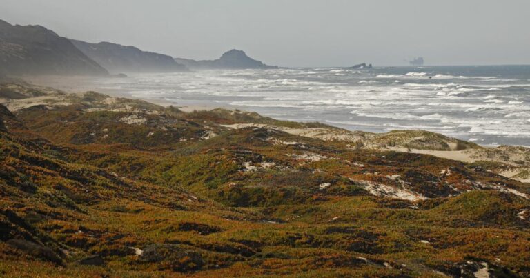 White House announces new California marine sanctuary.com2F5e2F4b2F37fe85f24715962396f89eea