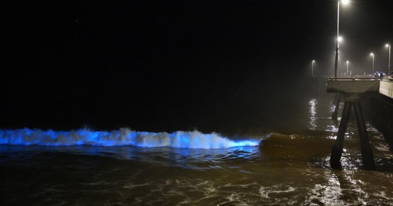 Why do LA beaches stink About the red tides and.com2F782F462Fc51420914a1a9cea6a5fabda