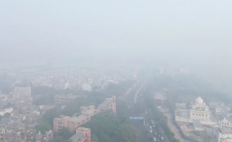 Delhi Air Pollution Live: “Don't Relax Curbs Without Informing Us”, Top Court Tells Delhi Government