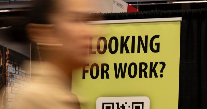 Canadas unemployment rate holds steady at 65 in October