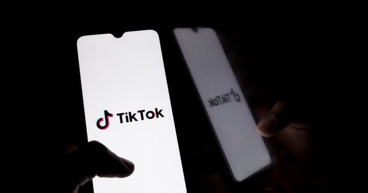 TikTok must end business in Canada but app will stay