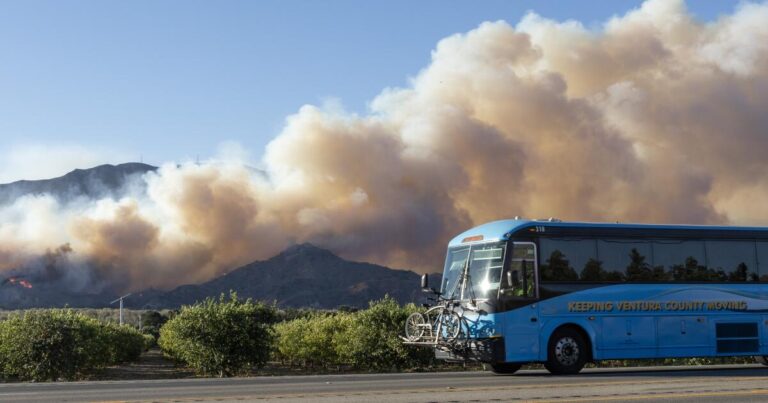 Wildfire smoke is polluting California New York and beyond Protect.com2F3a2Fce2Fbeb2c01f45f4bacf01000942